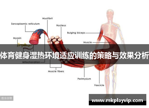 体育健身湿热环境适应训练的策略与效果分析