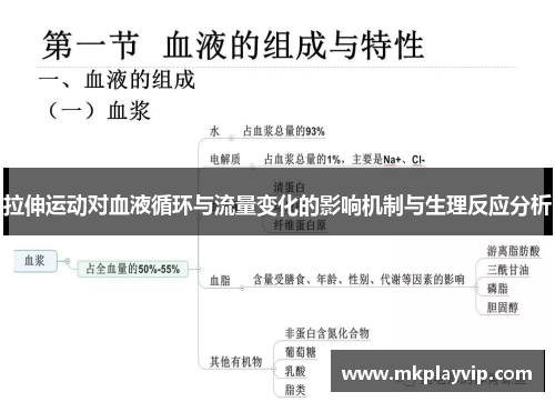 拉伸运动对血液循环与流量变化的影响机制与生理反应分析